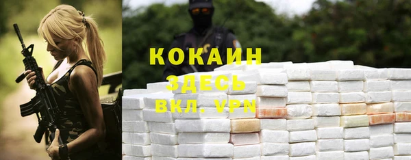 бошки Бородино