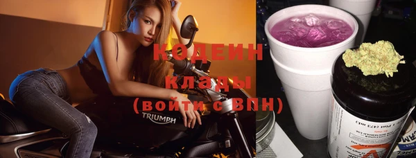 бошки Бородино