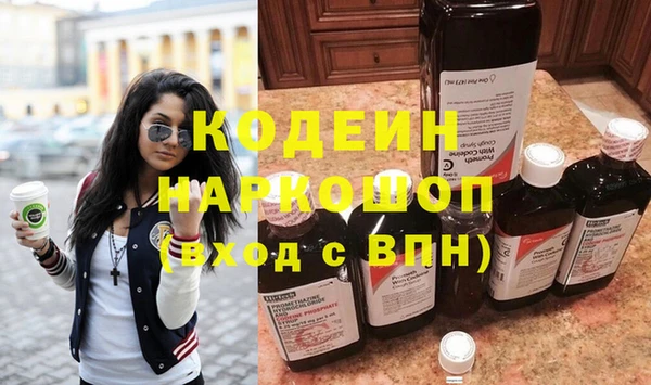бошки Бородино