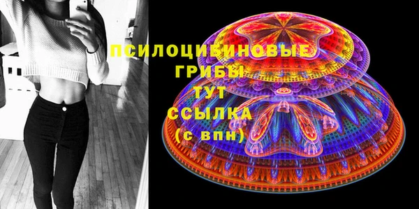 мдпв Бронницы