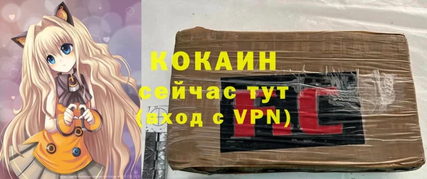 бошки Бородино